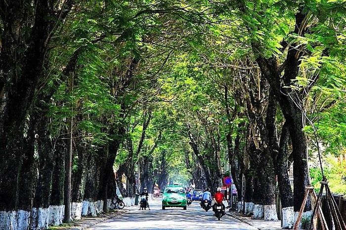 Đường phượng bay xứ Huế