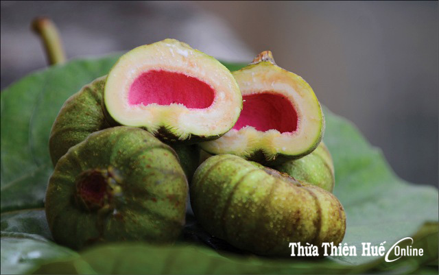 Chao ơi, ruốc Huế...