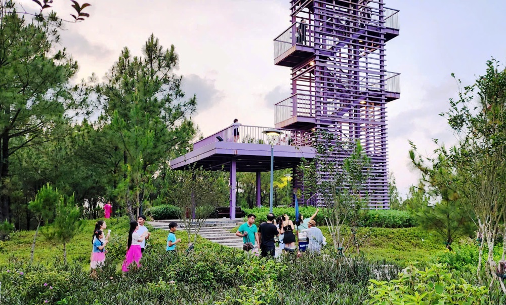 Vọng cảnh