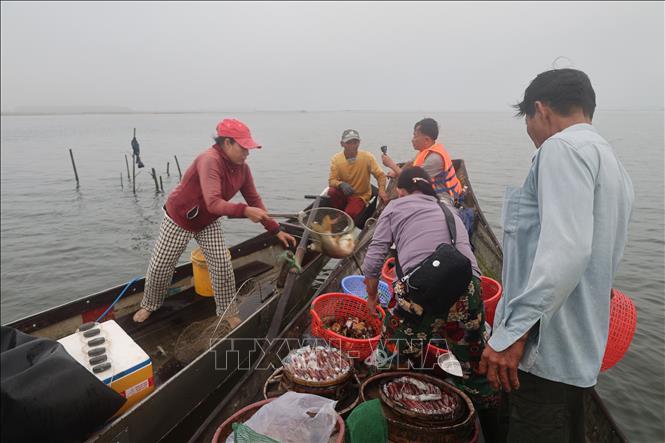 Chợ sớm Cồn Gai - nhịp sống người dân vùng sông nước Tam Giang