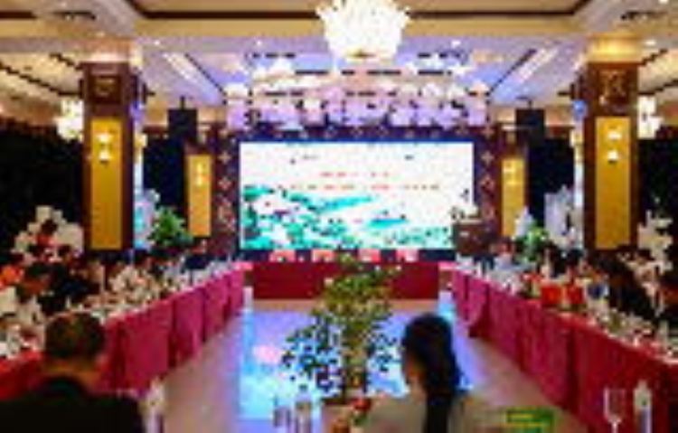 Tin tức