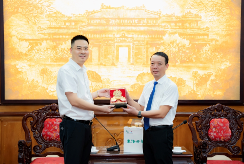 Thành phố Huế quyết tâm thúc đẩy phát triển đường bay quốc tế