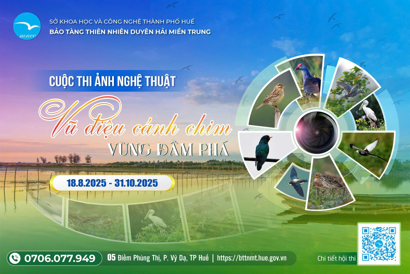Tin tức