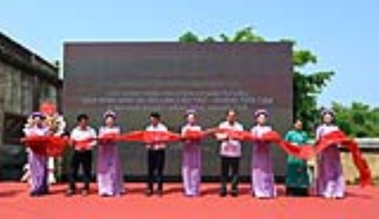 Tin tức