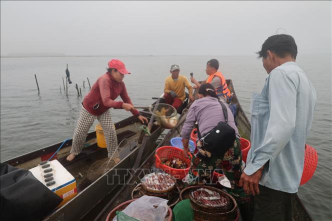 Bài viết về văn hóa Huế