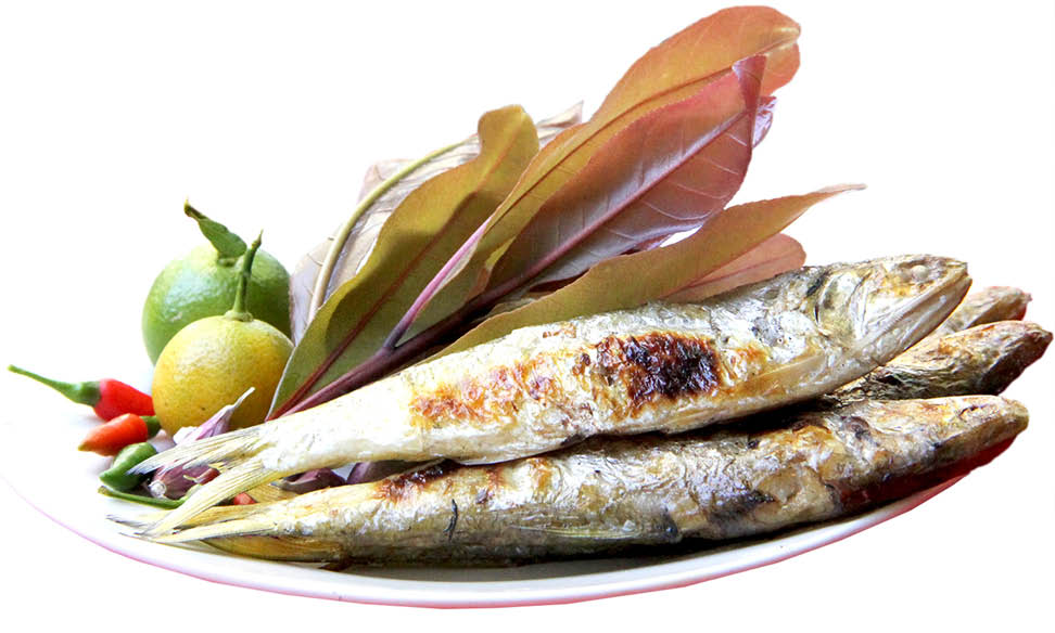 Cá lẹp mà kẹp rau mưng